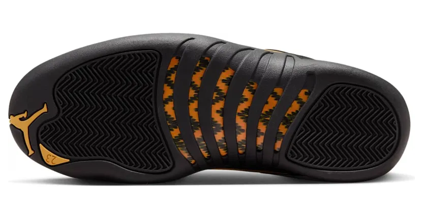 air-jordan-12 CT8013-071