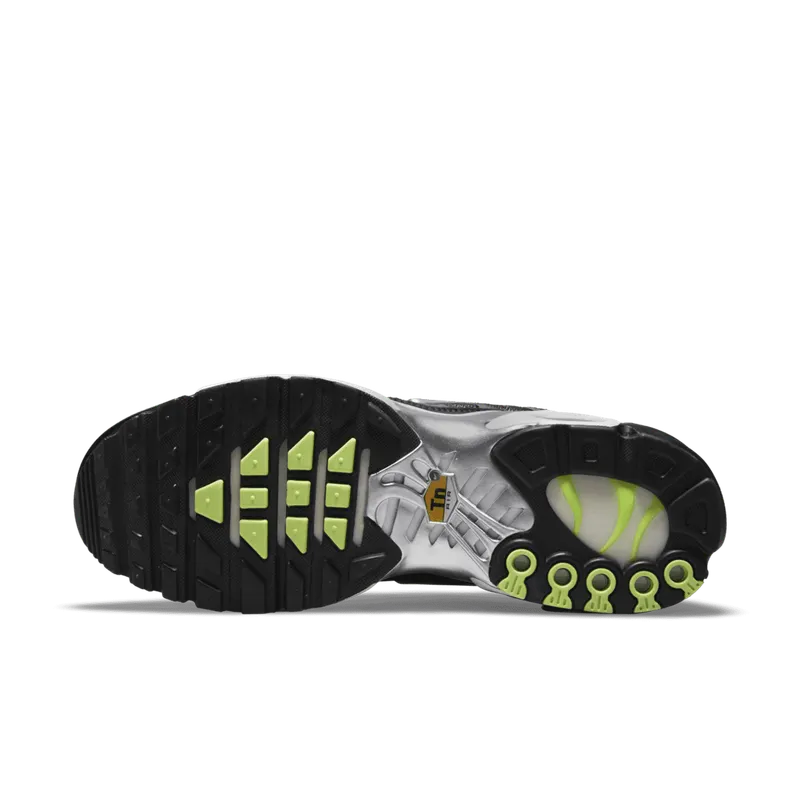 Nike Air Max Plus SE Black Chrome (DM7570-001)