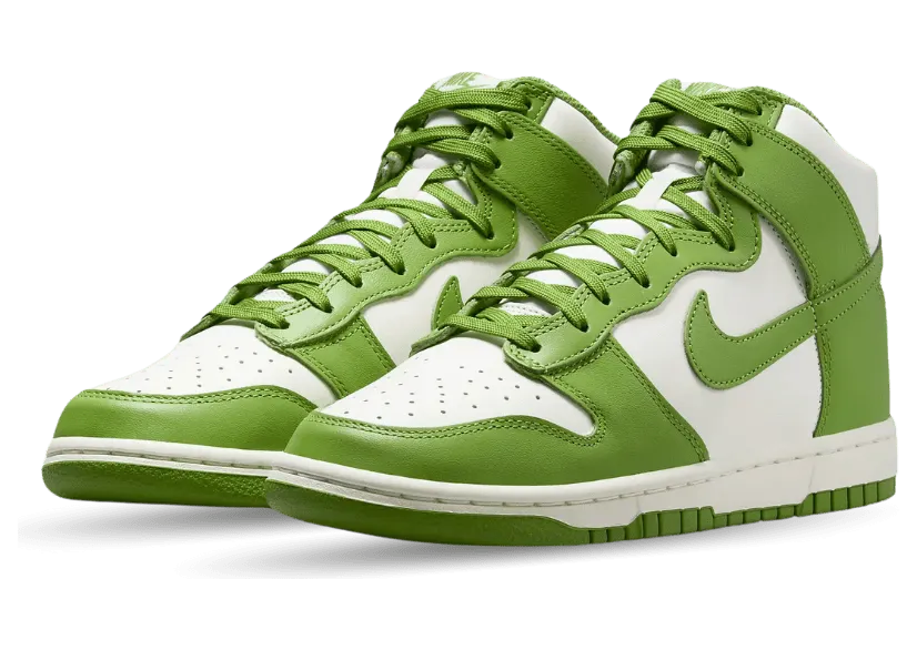 nike-dunk DD1869-300