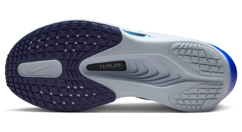 nike-zoom FN8455-401