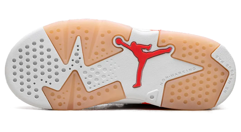 air-jordan-6 DV3529-102