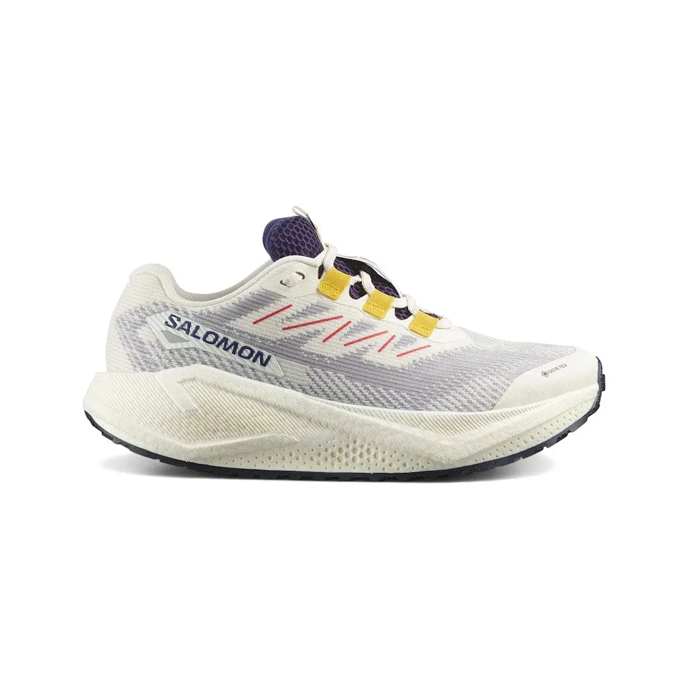 Salomon Aero Blaze 3 GRVL Gore-Tex Vanilla Ice Astral Aura (L47974100)