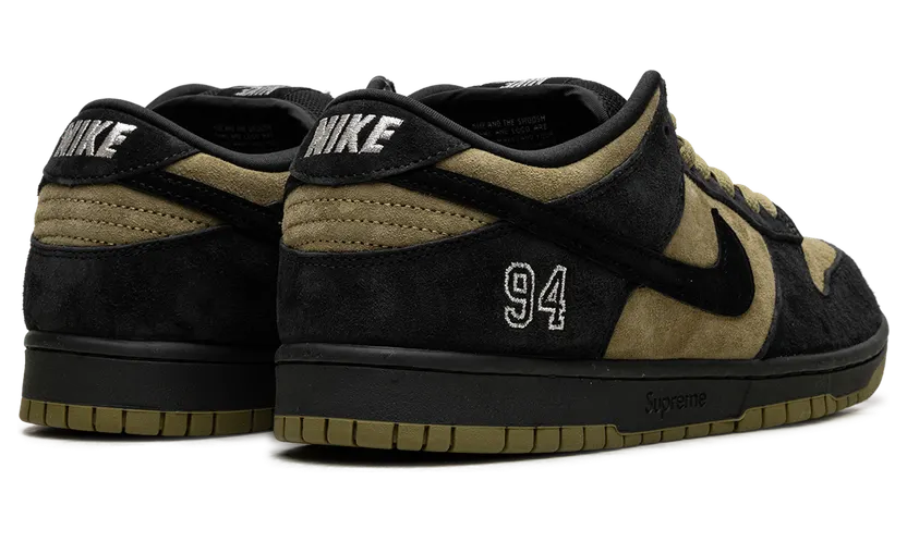 nike-dunk-sb HQ8487-300