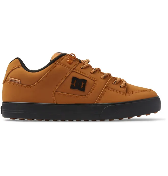 DC Pure WNT wheat (ADYS300151-WE9)