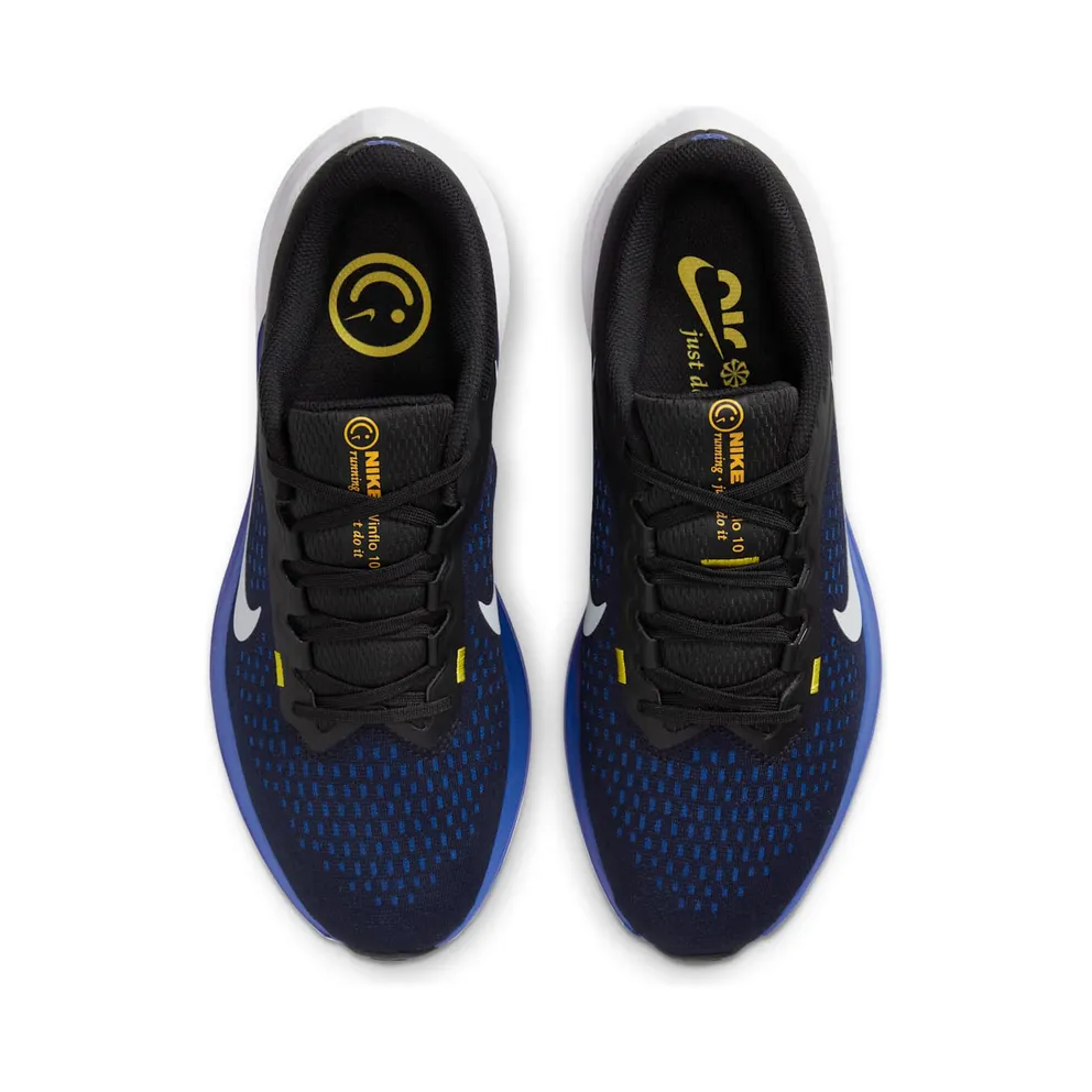 Nike Winflo 10 Black (DV4022-005)