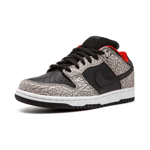 nike-dunk 304292-131
