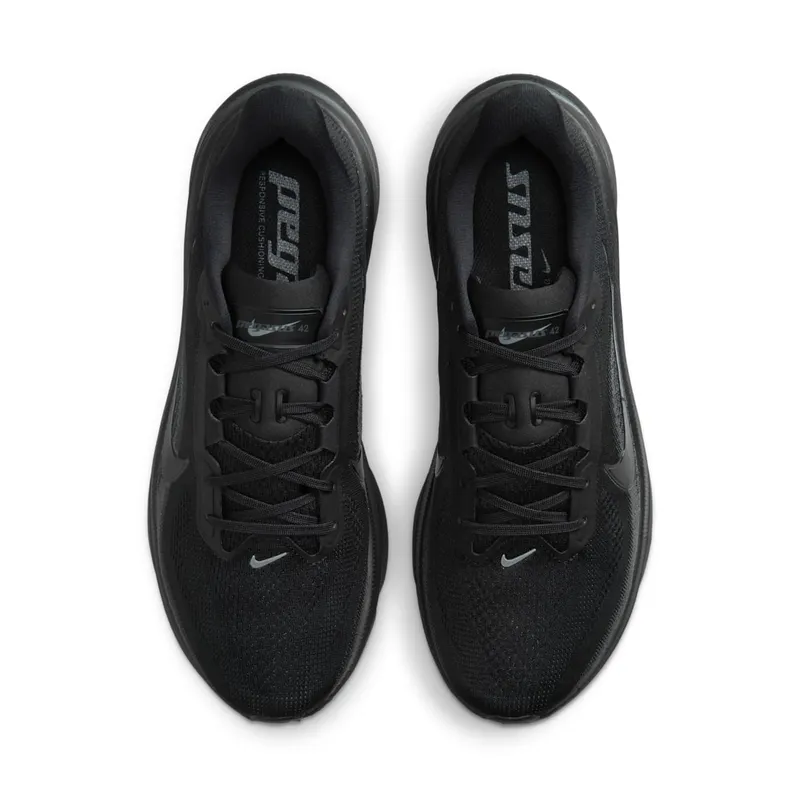 Nike Pegasus Black/Anthracite/Black (IB1873-003)