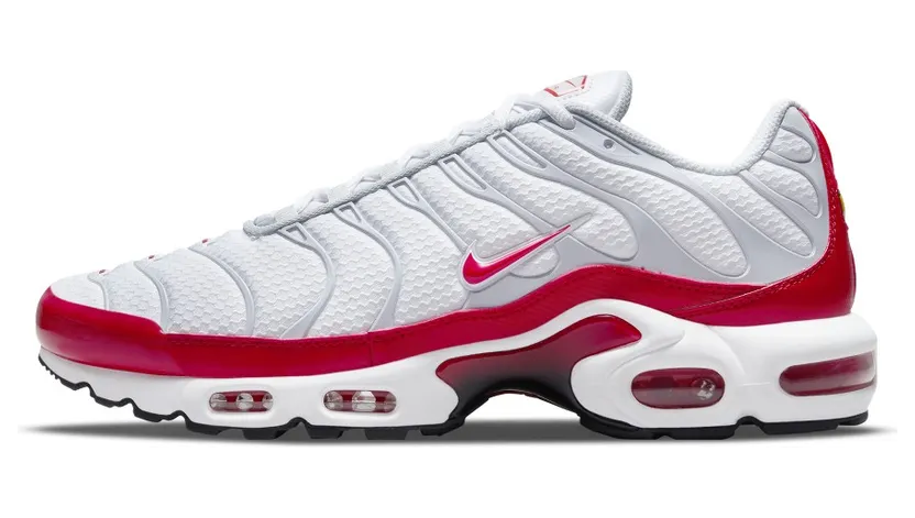Nike Air Max Plus Wit (DM8332-100)