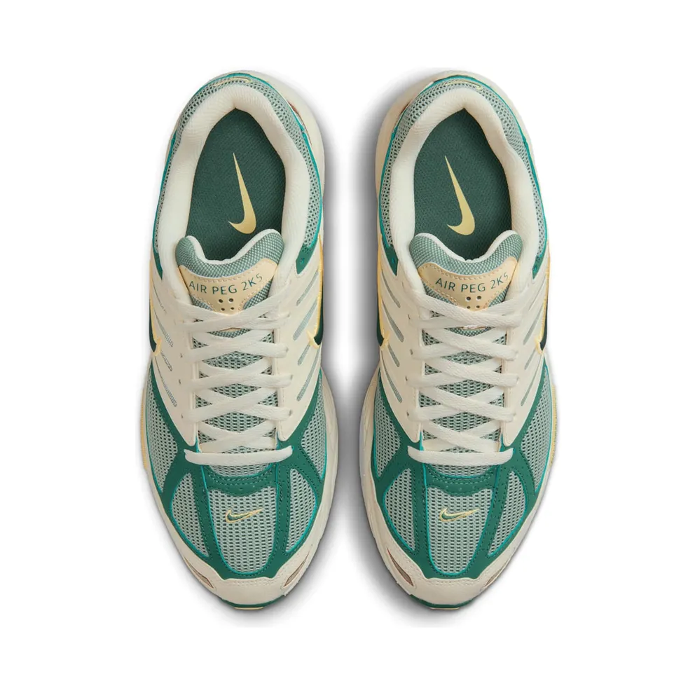 Nike Air Pegasus 2K5 “Bicoastal” (FZ2590-100)