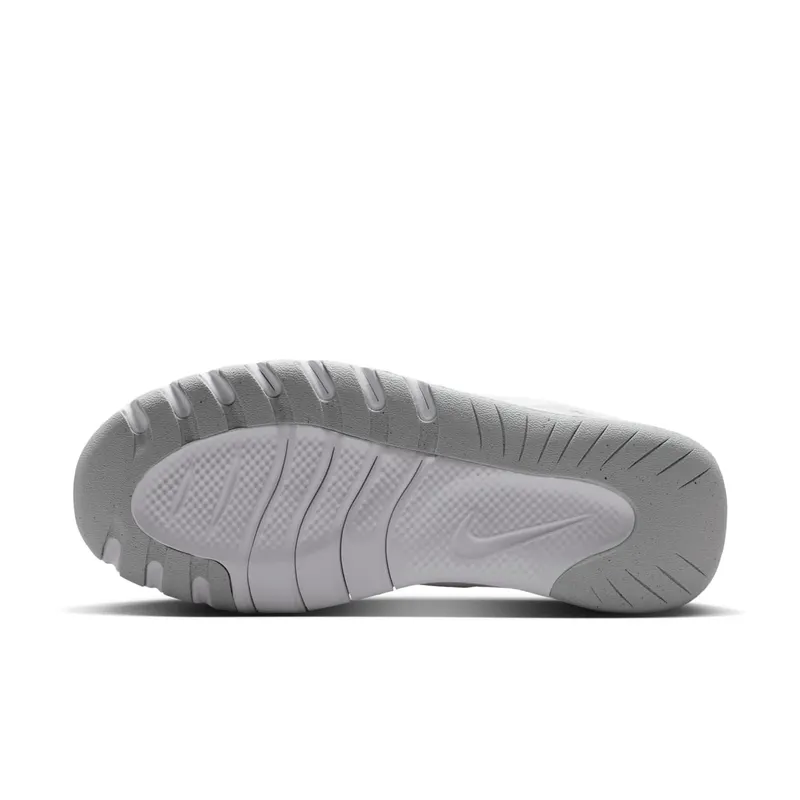 Nike Flex Train White Photon Dust Metallic Silver (HV9981-101)