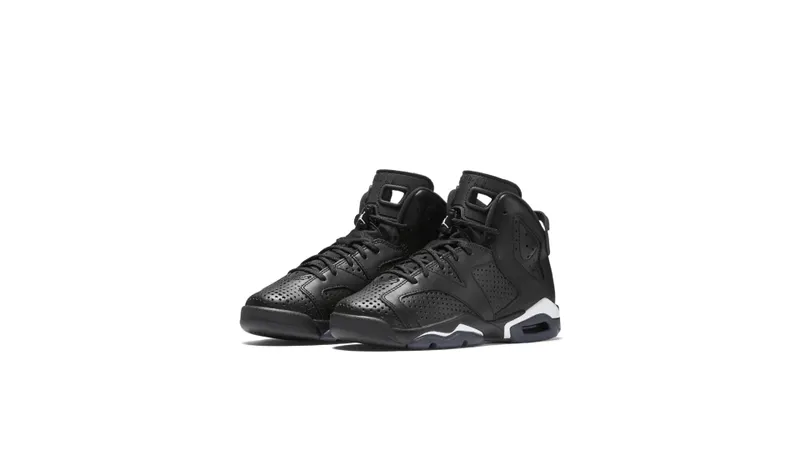 Jordan 6 Retro Black Cat (GS) Black/Black-White (384665-020)