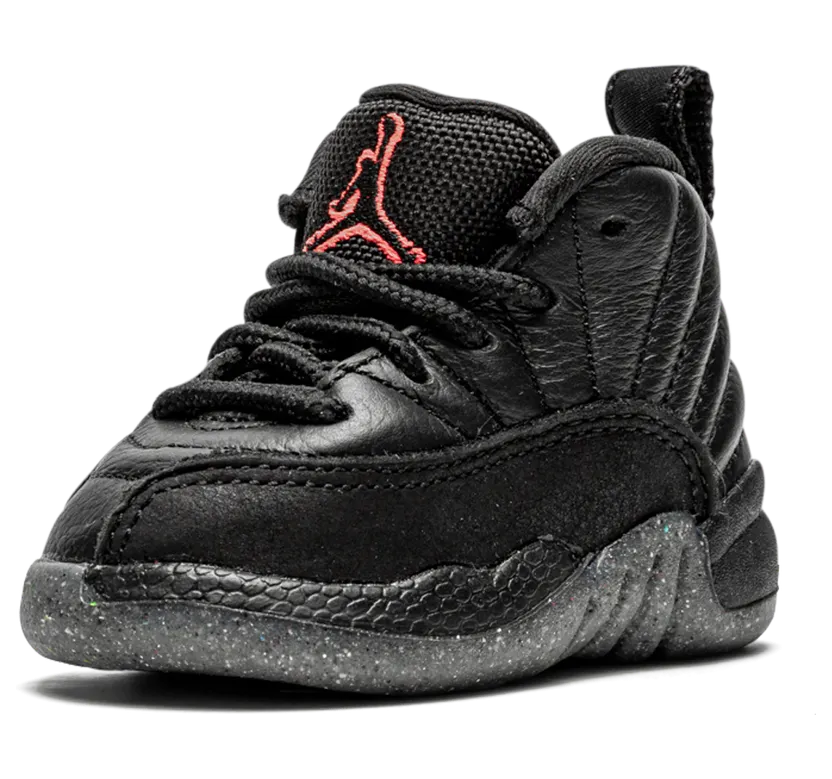 air-jordan-12 DM5206-006