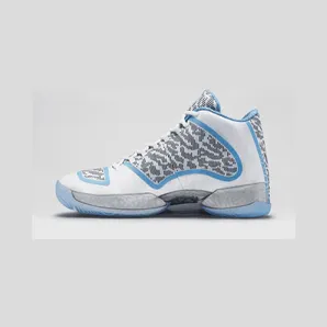 Air Jordan 29 ‘Pantone’ White/Silver/Pantone (717796-108)