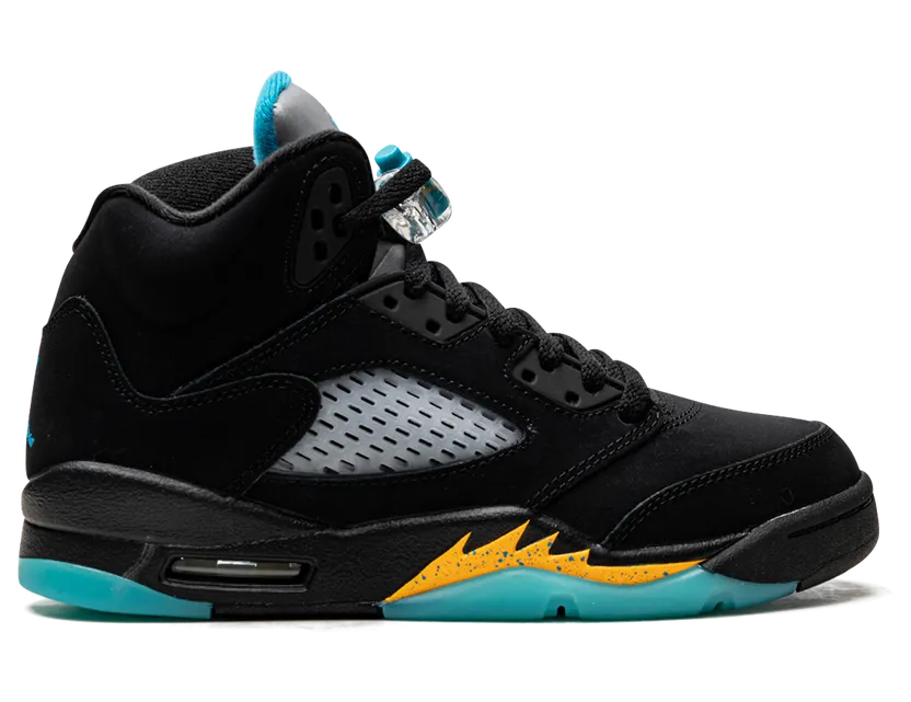 air-jordan-5 DD0587-047