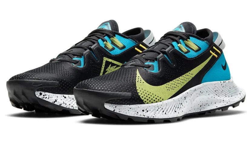 nike-air-pegasus CK4309-003