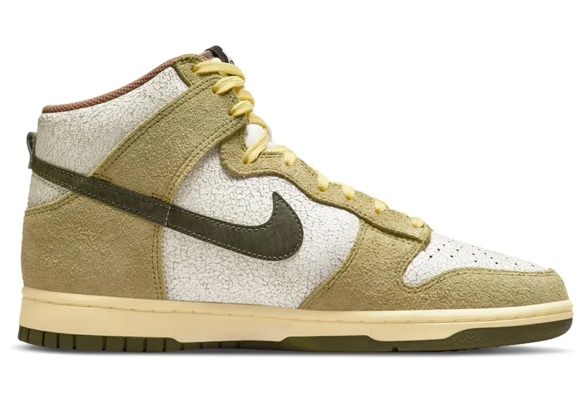 nike-dunk DO6713-300