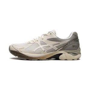 Asics GT-2160 “DIME Arctic Wolf” (1201A887-100)