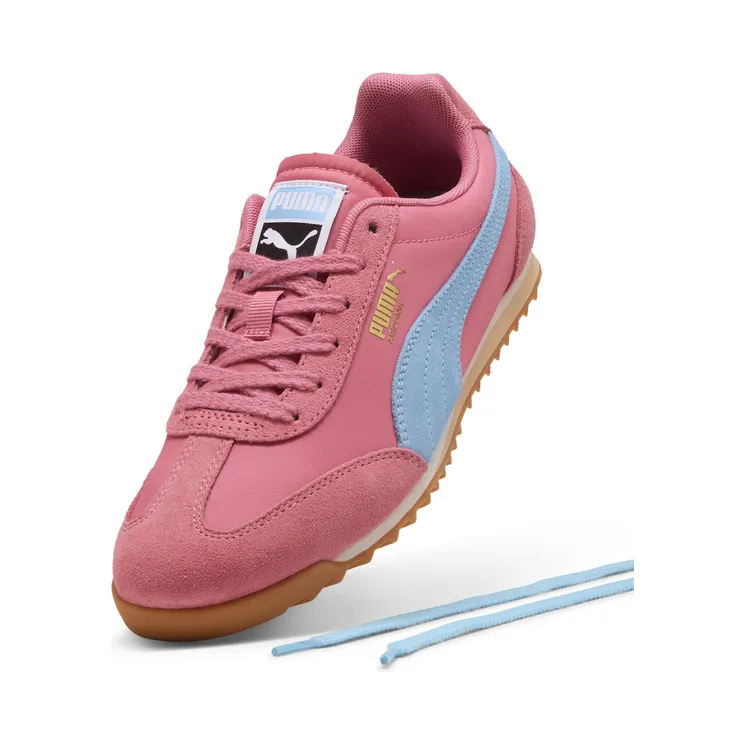 puma-arizona 398682_33