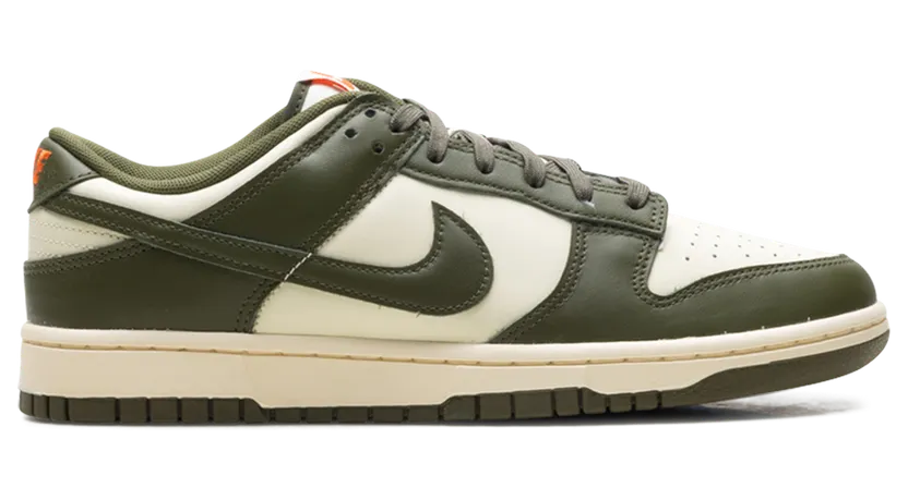 nike-dunk IH0245-113