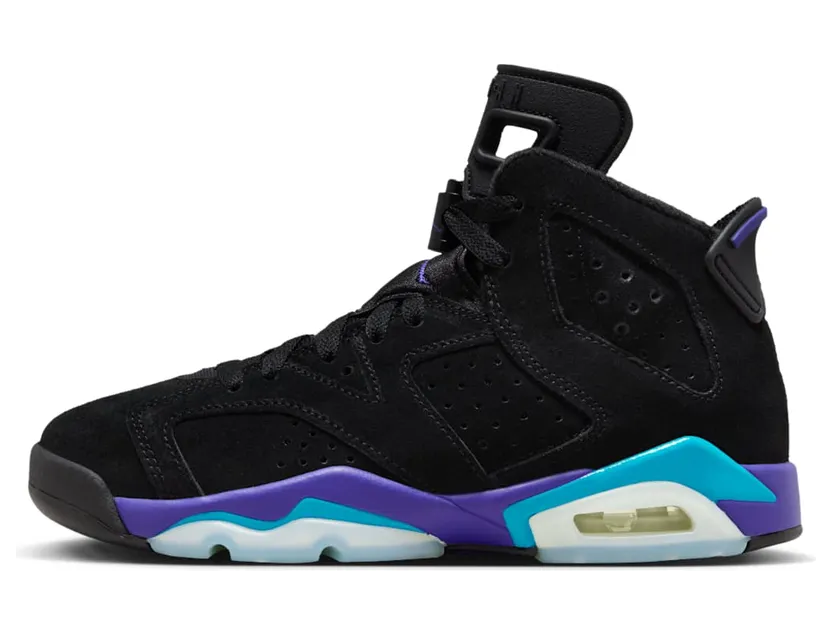 Air Jordan 6 384665-004