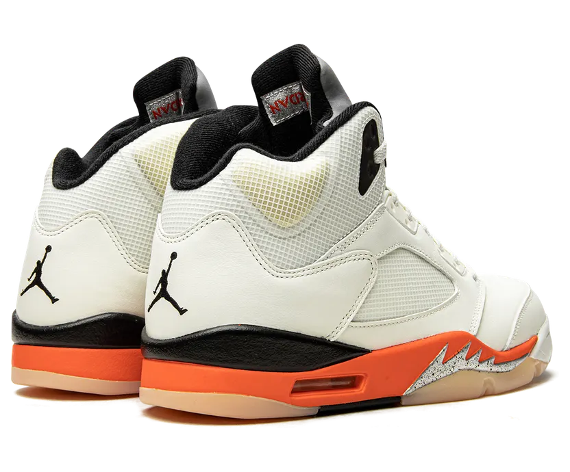 air-jordan-5 DC1060-100