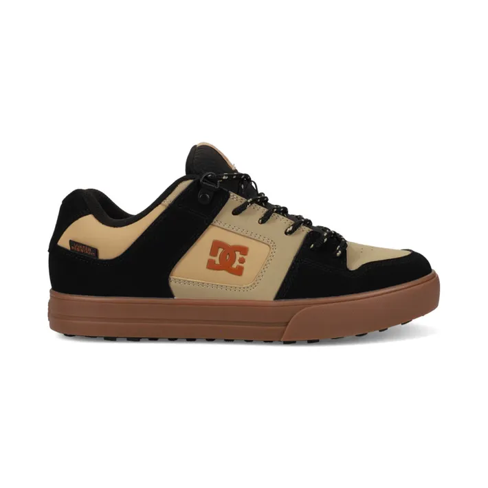 DC Pure Wnt (ADYS300151001)