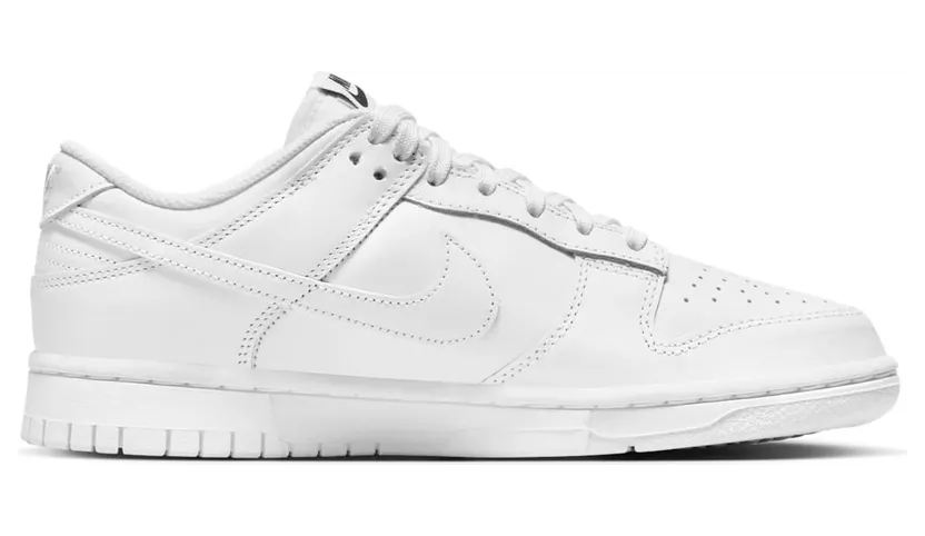 nike-dunk DD1503-109