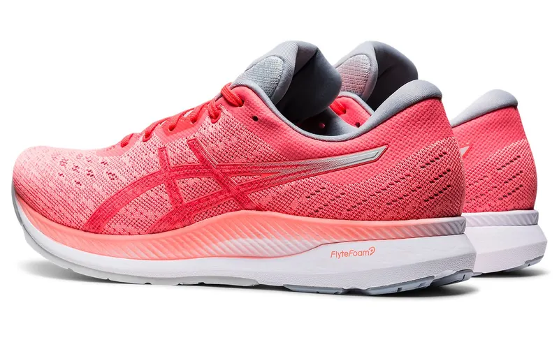 ASICS Evoride (1012A677-700)
