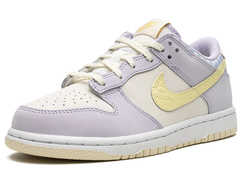 nike-dunk FJ4642-536