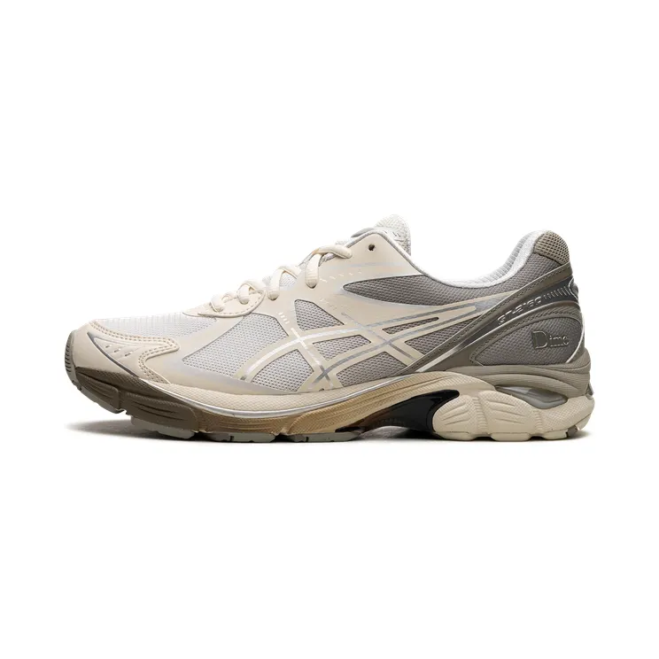 Asics GT-2160 “DIME Arctic Wolf” (1201A887-100)