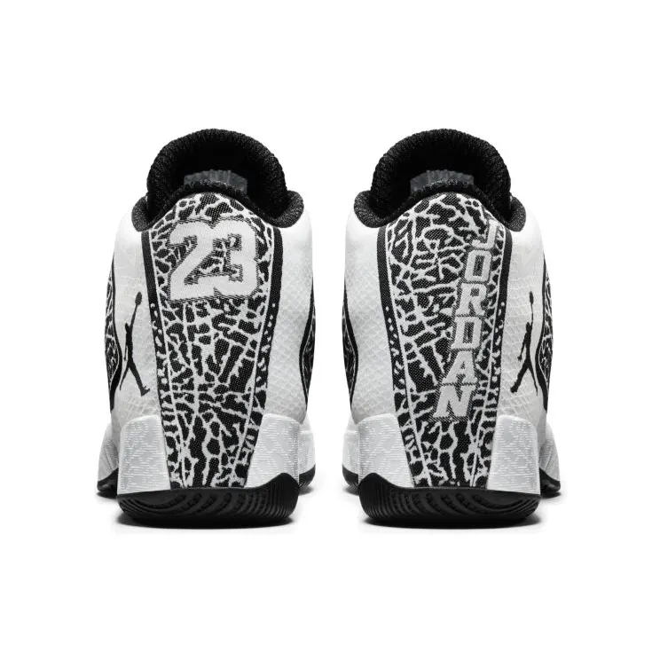 air-jordan-29 695515-070