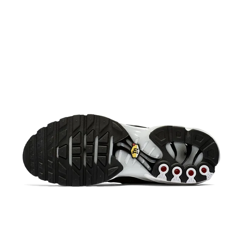 Nike Air Max Plus Striped Black White Black/White-Pure Platinum (AT0040-001)