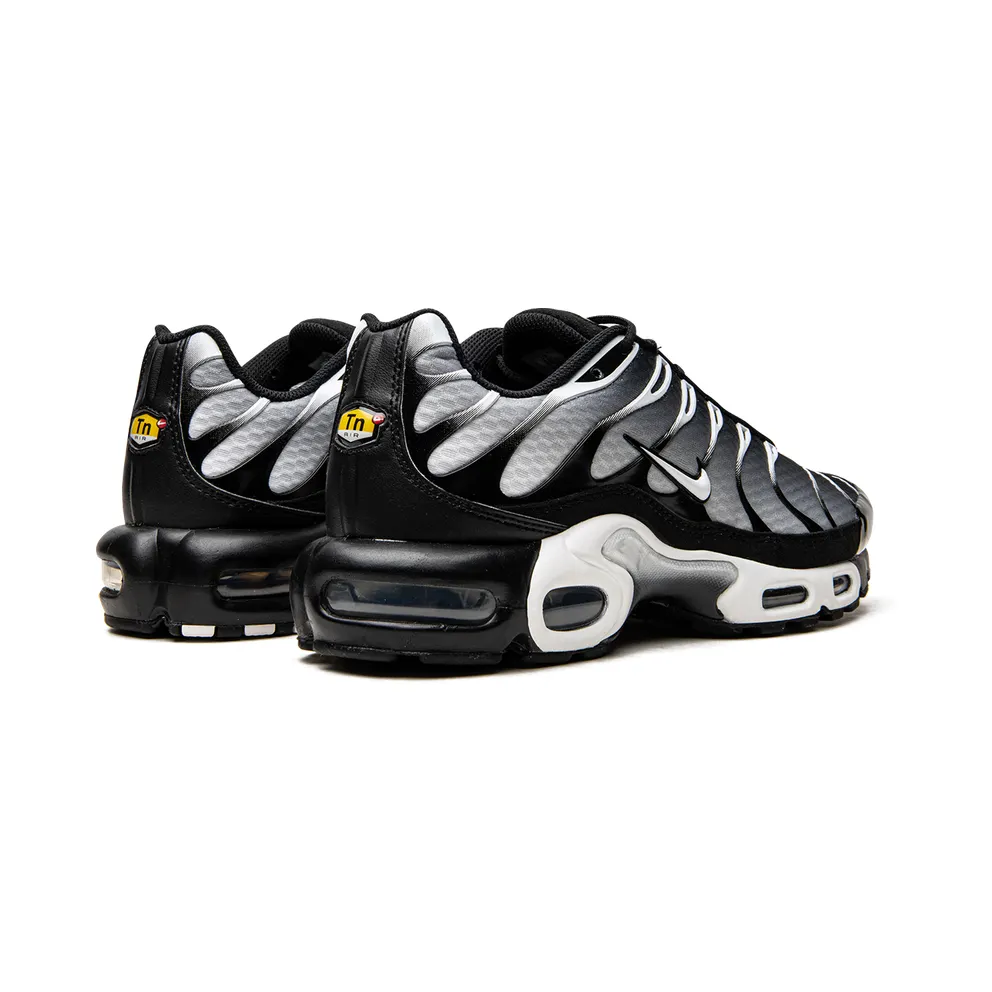 Nike Air Max Plus “Black / Silver” (DM0032-003)
