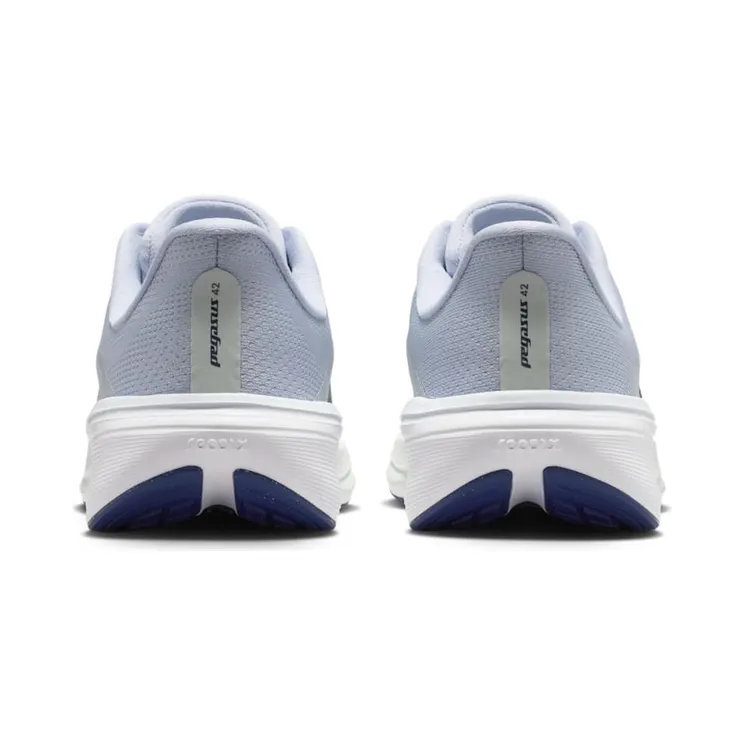 nike-air-pegasus IH2306-004
