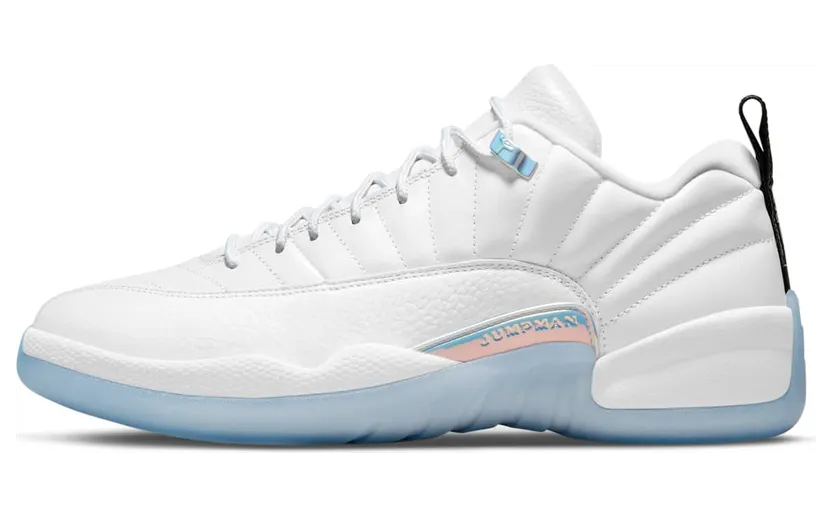 Air Jordan 12 DB0733-190