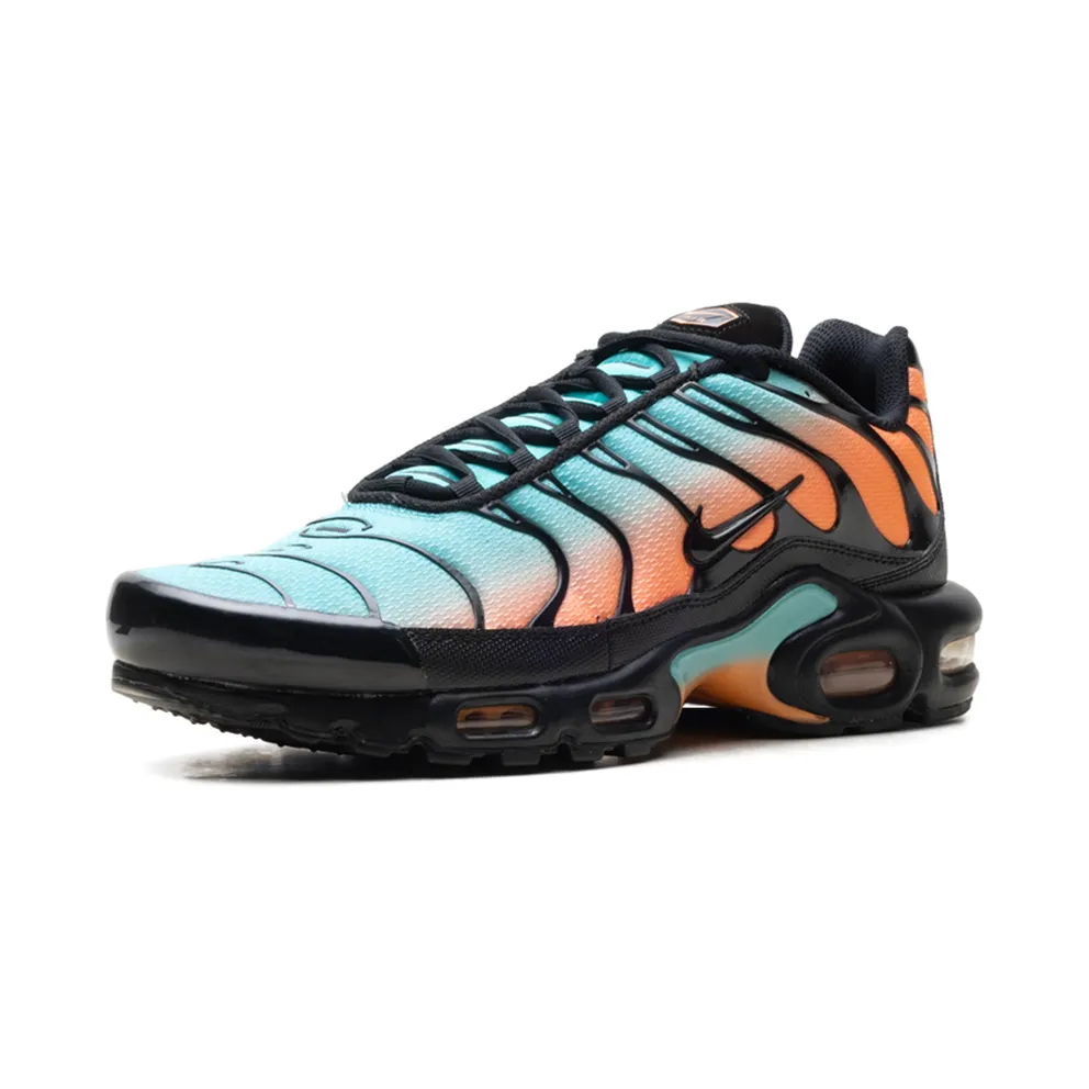 Nike Air Max Plus “South Beach” (DM0032-022)