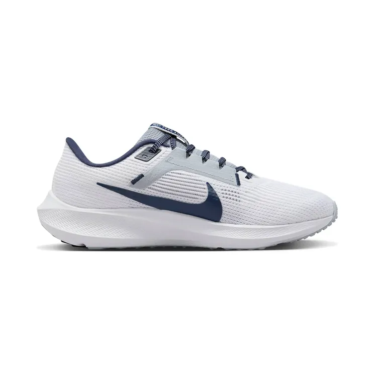 nike-air-pegasus DZ5944-100