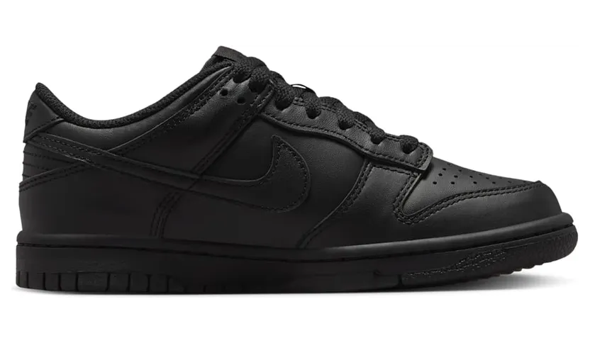 nike-dunk FB9109-009