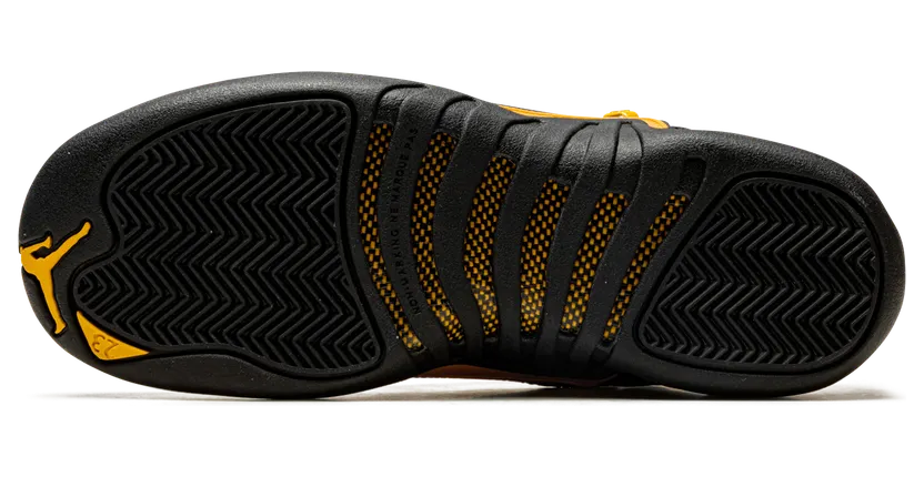 air-jordan-12 153265-071