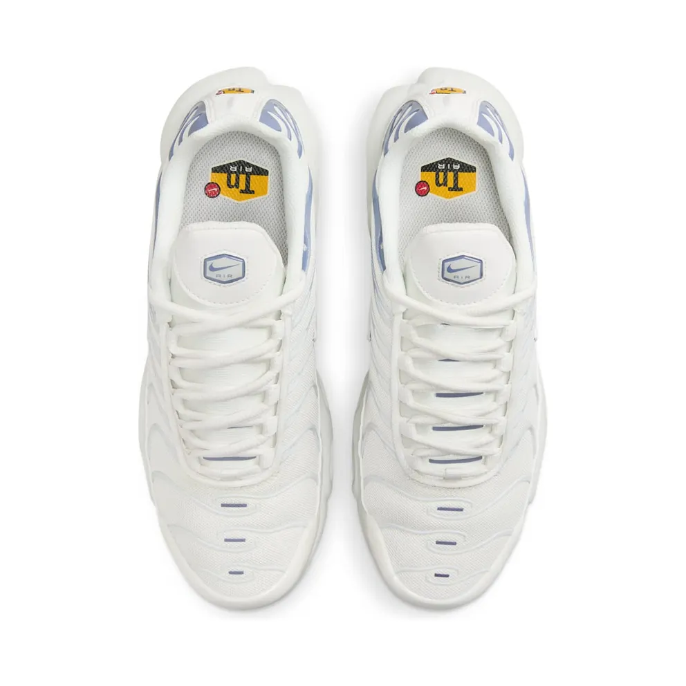 Nike Air Max Plus Ashen Slate (DZ3671-104)