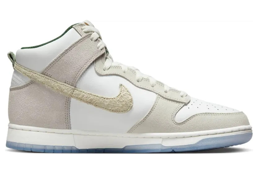 nike-dunk FD0776-100