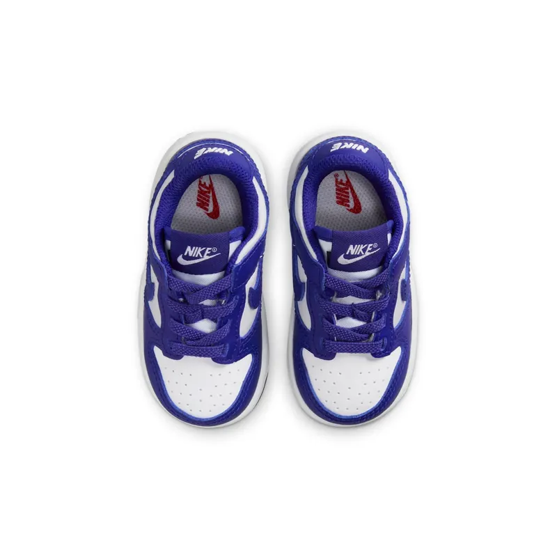 Nike Dunk Low Concord (FB9107-106)