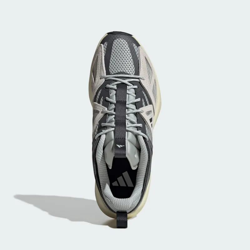 Adidas Kantai Trail Wonder Silver / Core Black / Grey Six (JR5609)