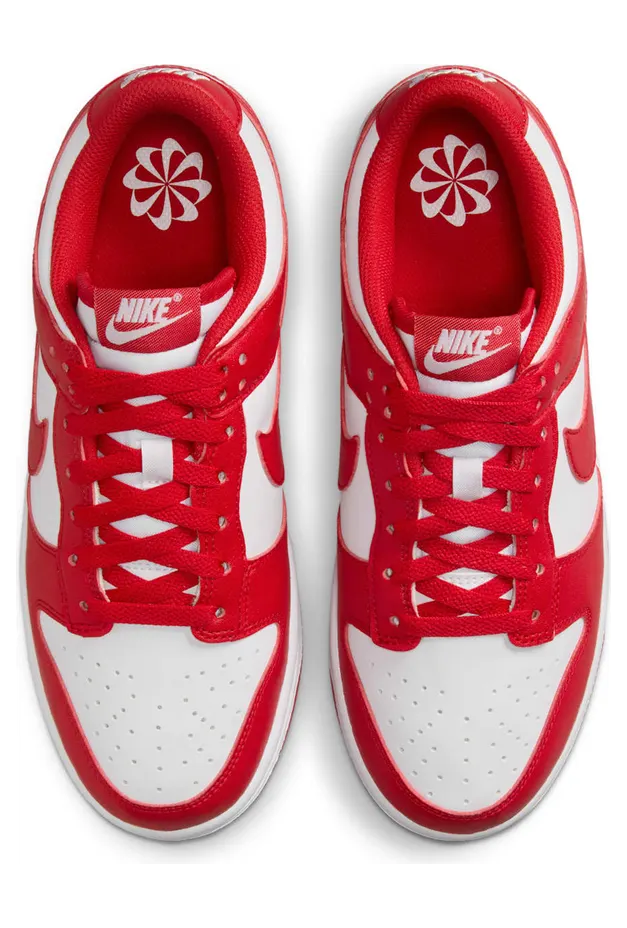 nike-dunk DD1873-116