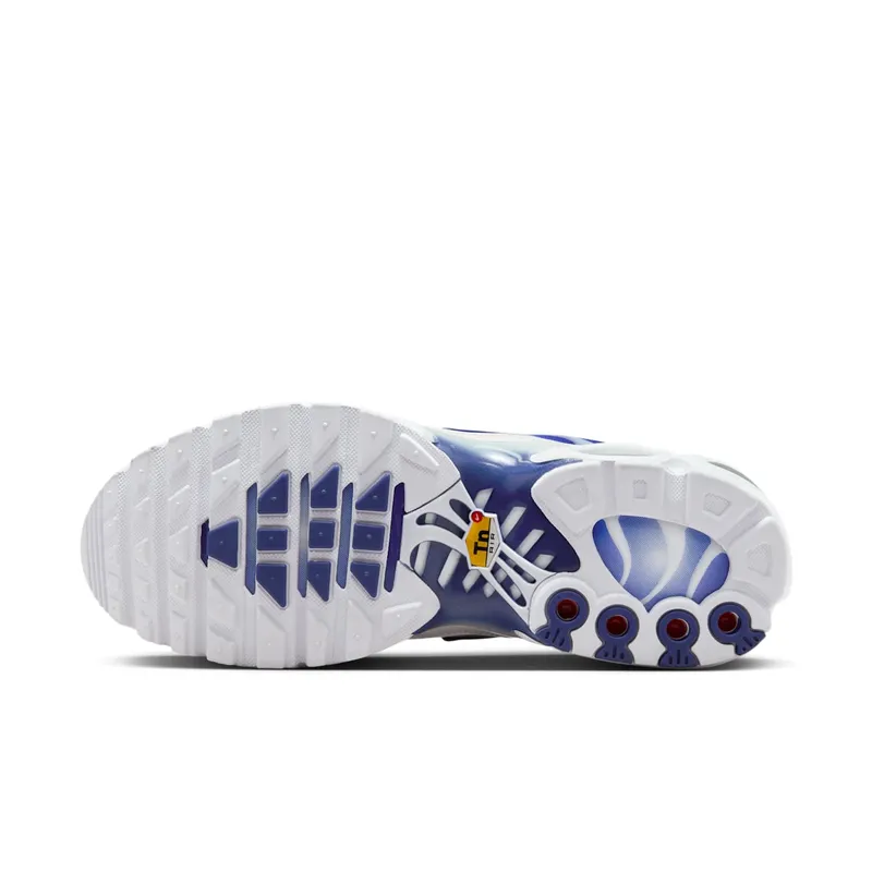 Nike Air Max Plus Blue Fade (FZ4345-100)