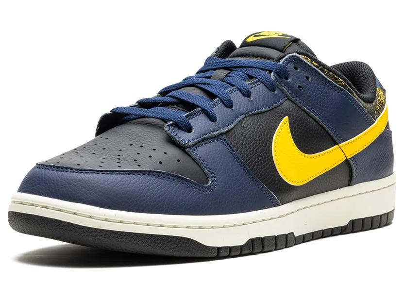nike-dunk FZ4014-010