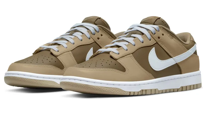 nike-dunk DJ6188-200