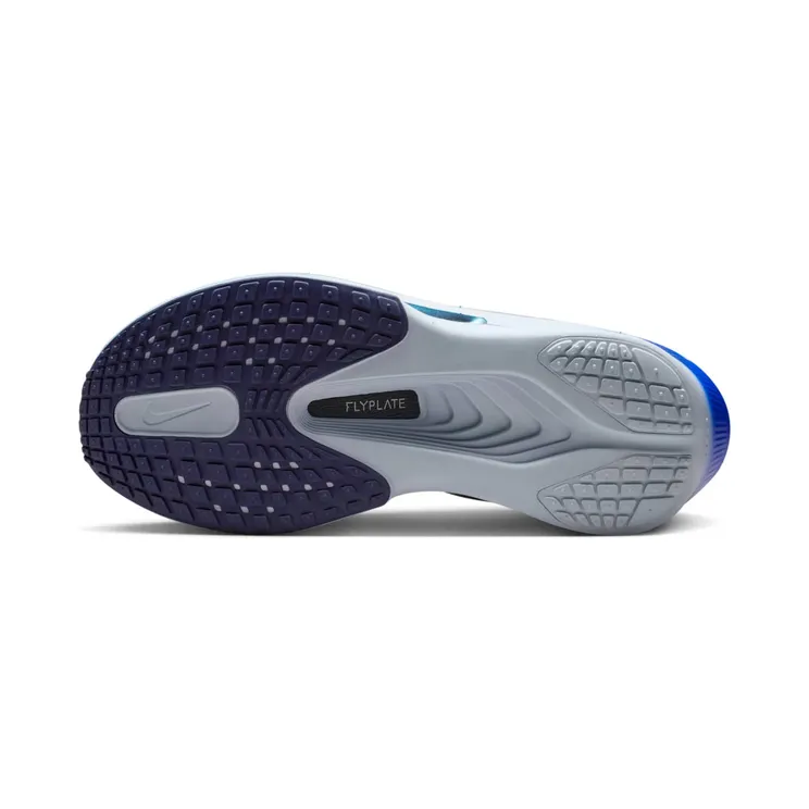 nike-zoom FN8455-401