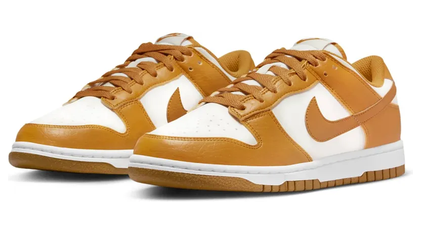 nike-dunk DN1431-001
