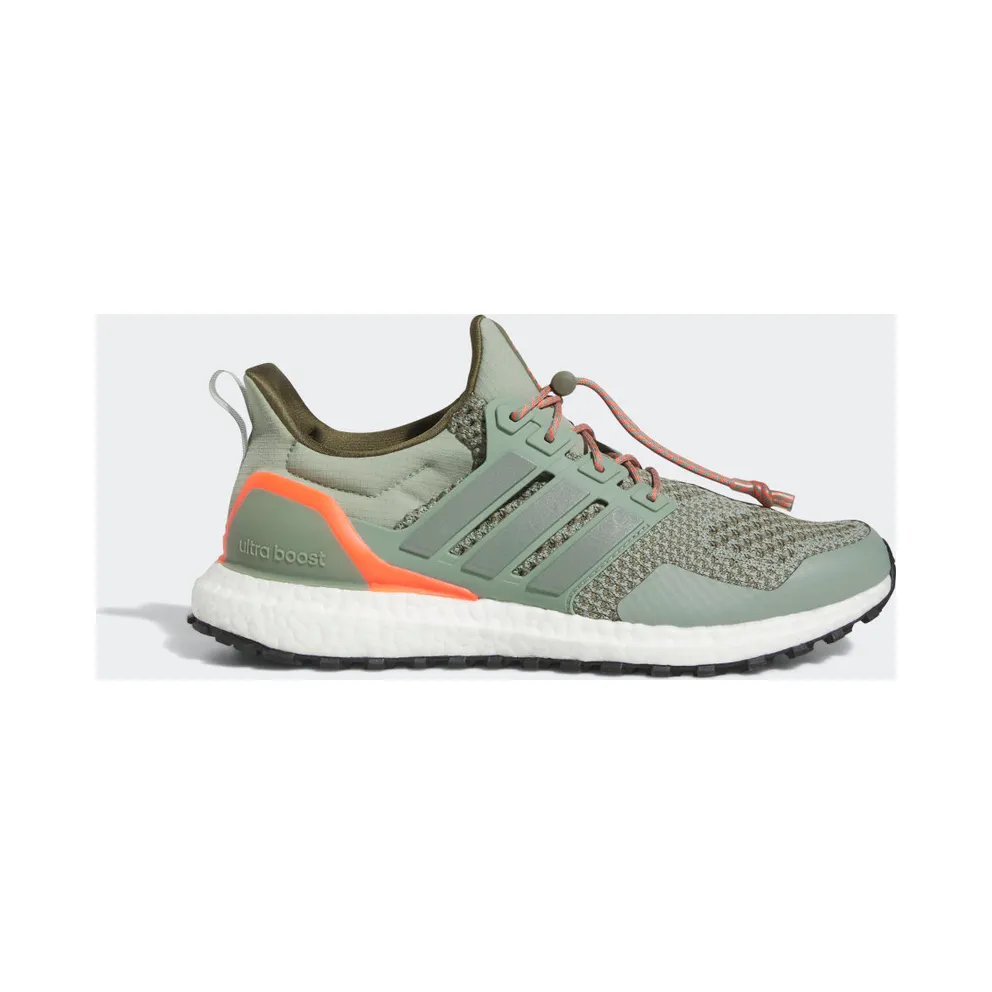 adidas Ultraboost 1.0 Silgrn / Silgrn / Olistr (HR0070)